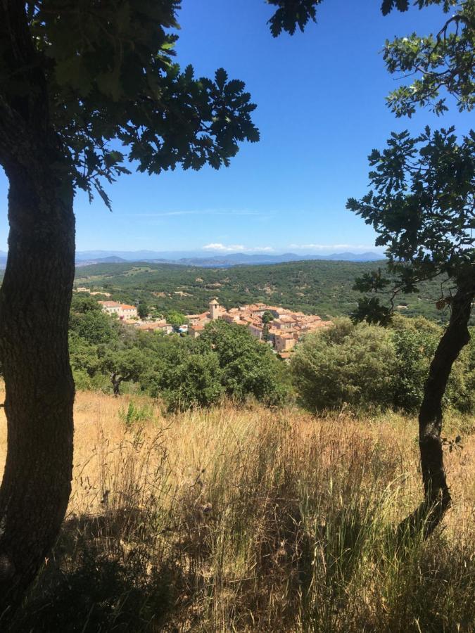 Clos Des Vignes Pampelonne Vineyard Ramatuelle Esterno foto
